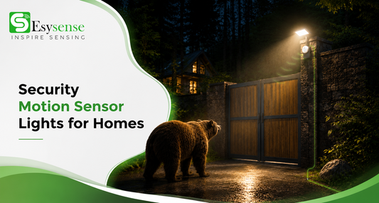 Security Motion Sensor Lights for Homes
