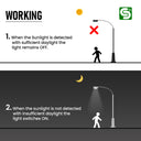 sensor switch light
sensor light switch
outdoor lights with day night sensor
outdoor light with day night sensor
outdoor light night sensor
outdoor day night light sensor
night time sensor outdoor lights
night sensor outdoor lights
night sensor outdoor light
night sensor for outdoor lights
movement sensor light switch
motion sensor switch for light
motion sensor switch
motion sensor light switch
motion detection switch
light switch automatic
light sensor switch
light sensor for outdoor lights
day night sens